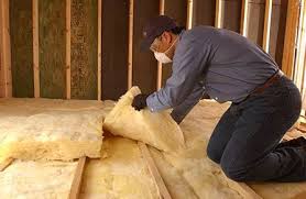 Best Insulation for Existing Homes  in The Hammocks, FL