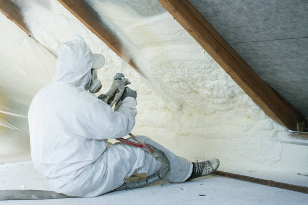 Best Attic Insulation Installation  in The Hammocks, FL