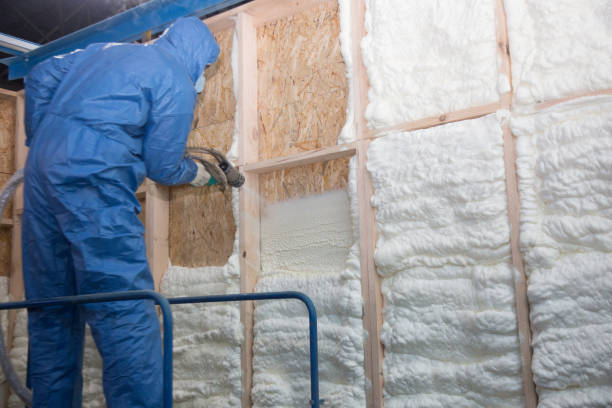 Best Wall Insulation Installation  in The Hammocks, FL